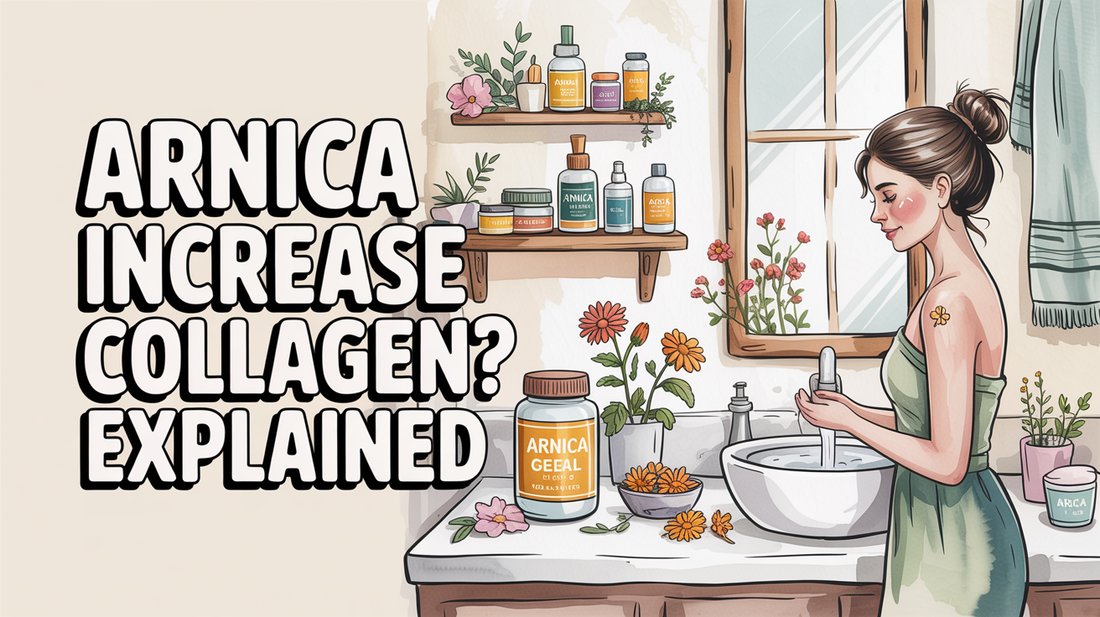 Does arnica increase collagen?