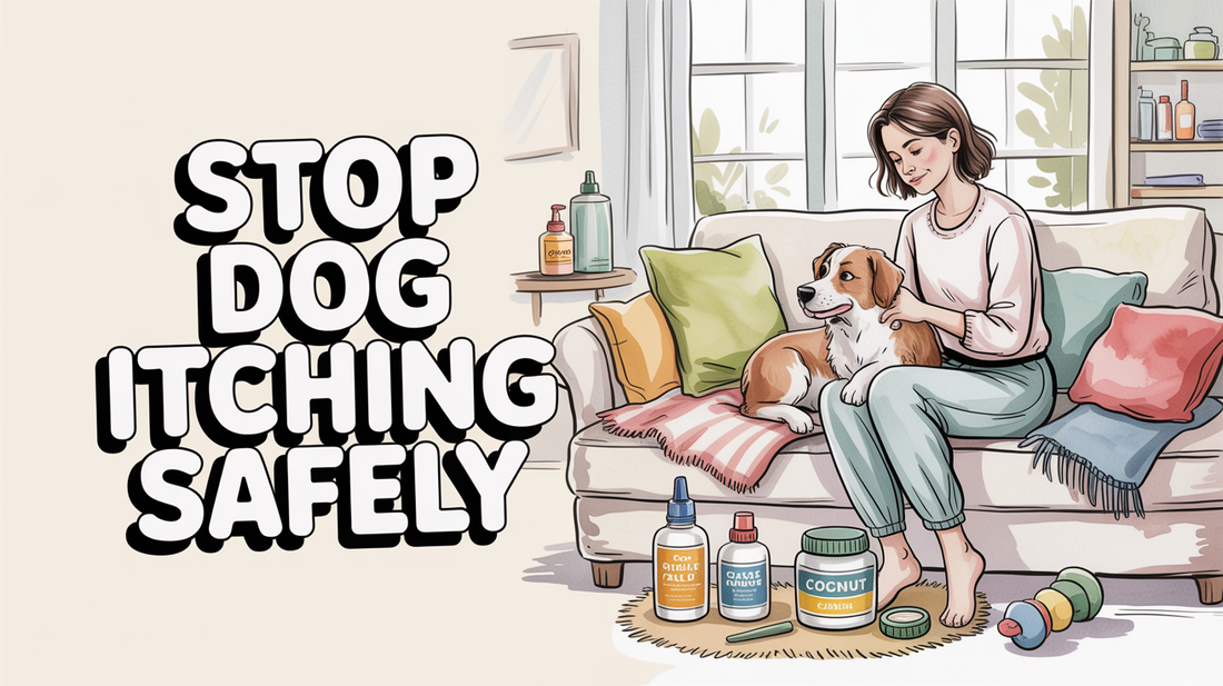 Anti-Itch Cream for Dogs: What’s Safe (and What’s Not)