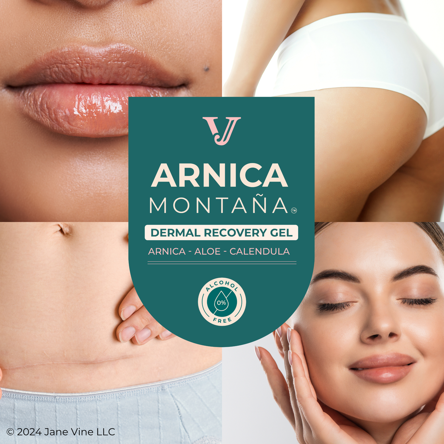 Jane Vine Arnica Gel – Arnica Montana for Face, Bruises, Muscle Soreness & Post-Workout Recovery – 7 oz