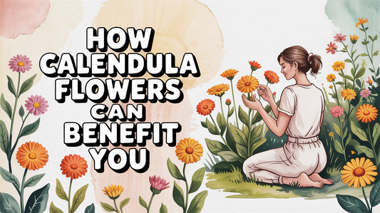 Calendula Flower Benefits