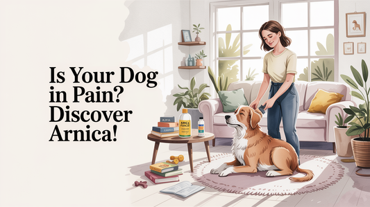 Is arnica safe for dogs?
