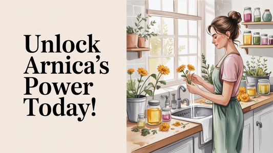 What does arnica do to blood vessels?